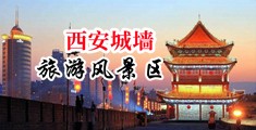 靠屄果冻中国陕西-西安城墙旅游风景区